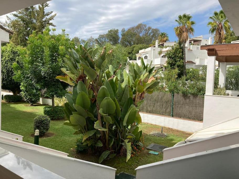 Casa Graciosa Apartamento *